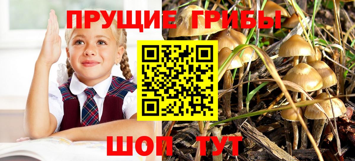 Псилоцибиновые грибы прущие грибы  Псилоцибиновые грибы ЛСД  Омск  Вход с VPN 