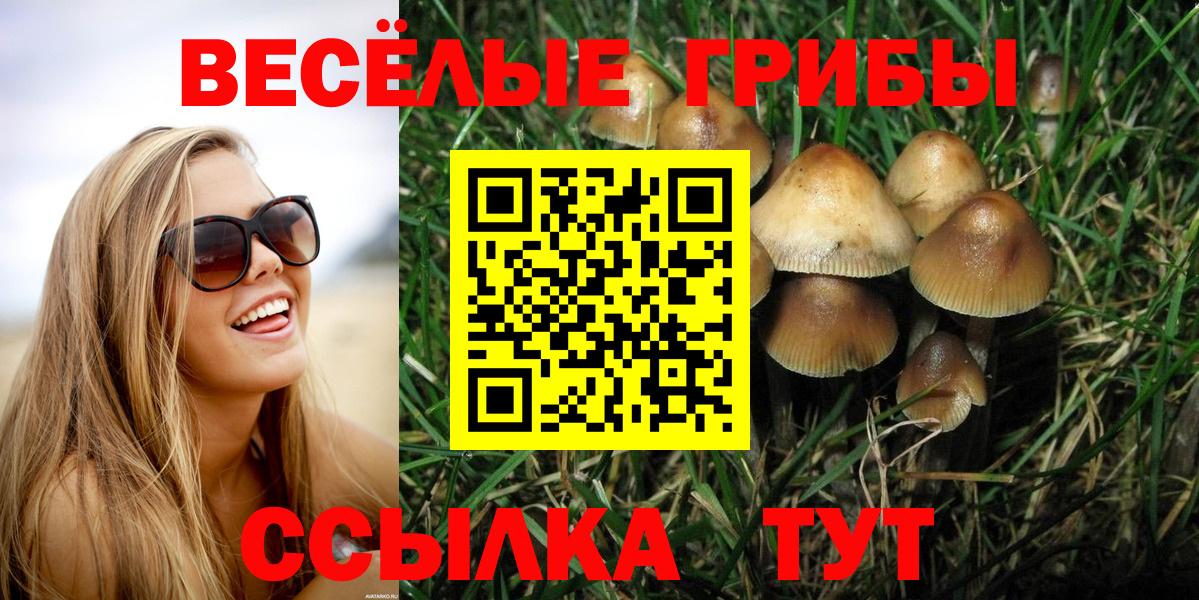 Псилоцибиновые грибы Magic Shrooms Омск